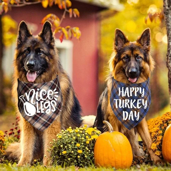 2 Thanksgiving & 2 Christmas Bandana for Dogs NEW - Picture 1 of 5